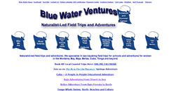 Desktop Screenshot of bluewaterventures.org