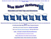 Tablet Screenshot of bluewaterventures.org